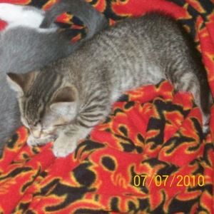 Meet your Posher, Mardi